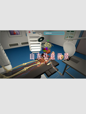 人體解剖VR仿真實訓(xùn)系統(tǒng)